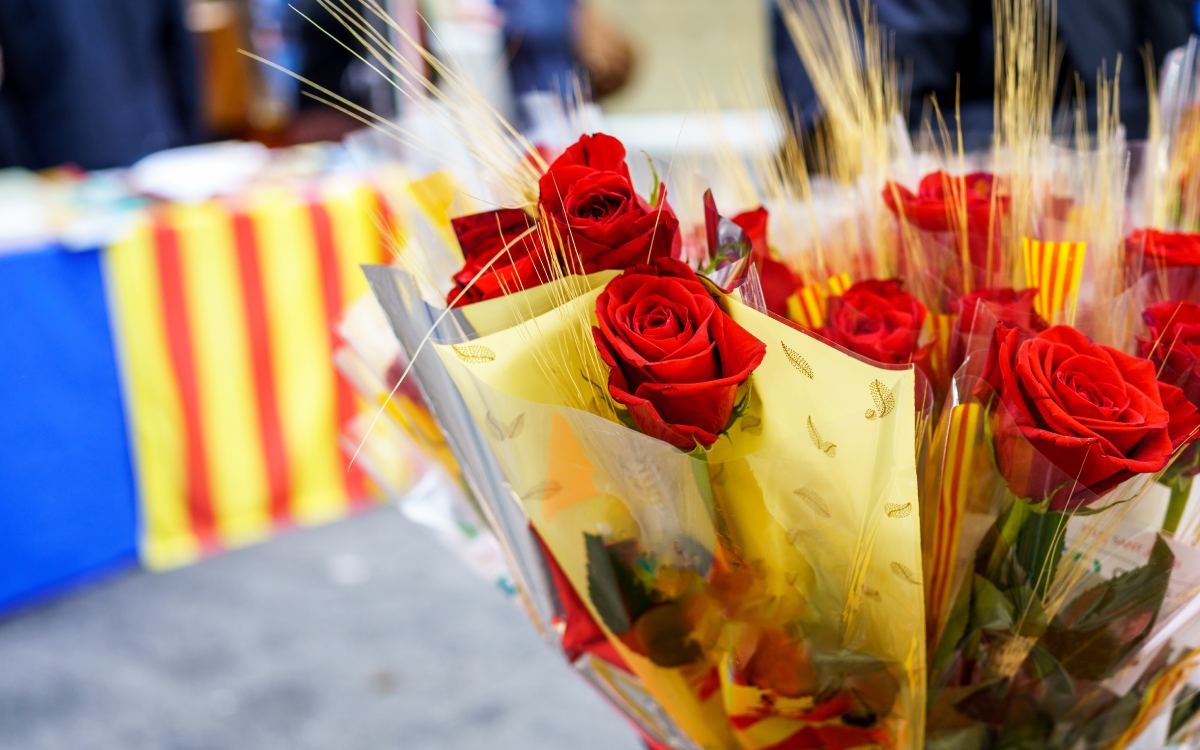 Rosas el Día de Sant Jordi
