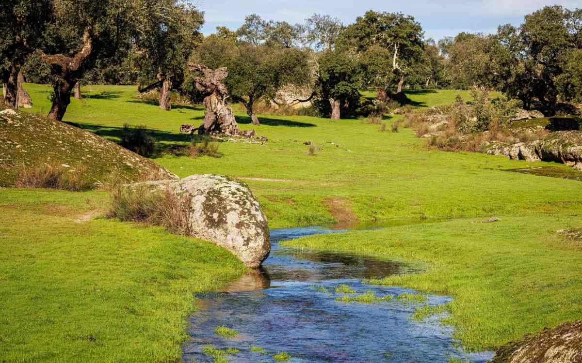 Dehesa de la Luz en Extremadura