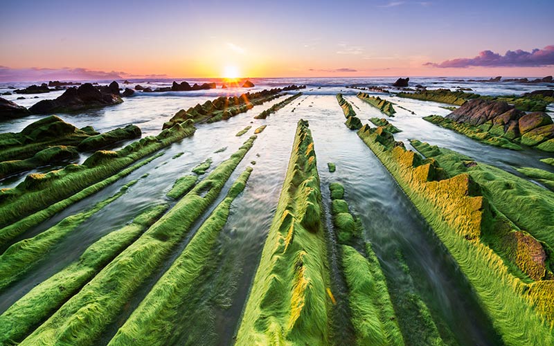 Flysch de Zumaia