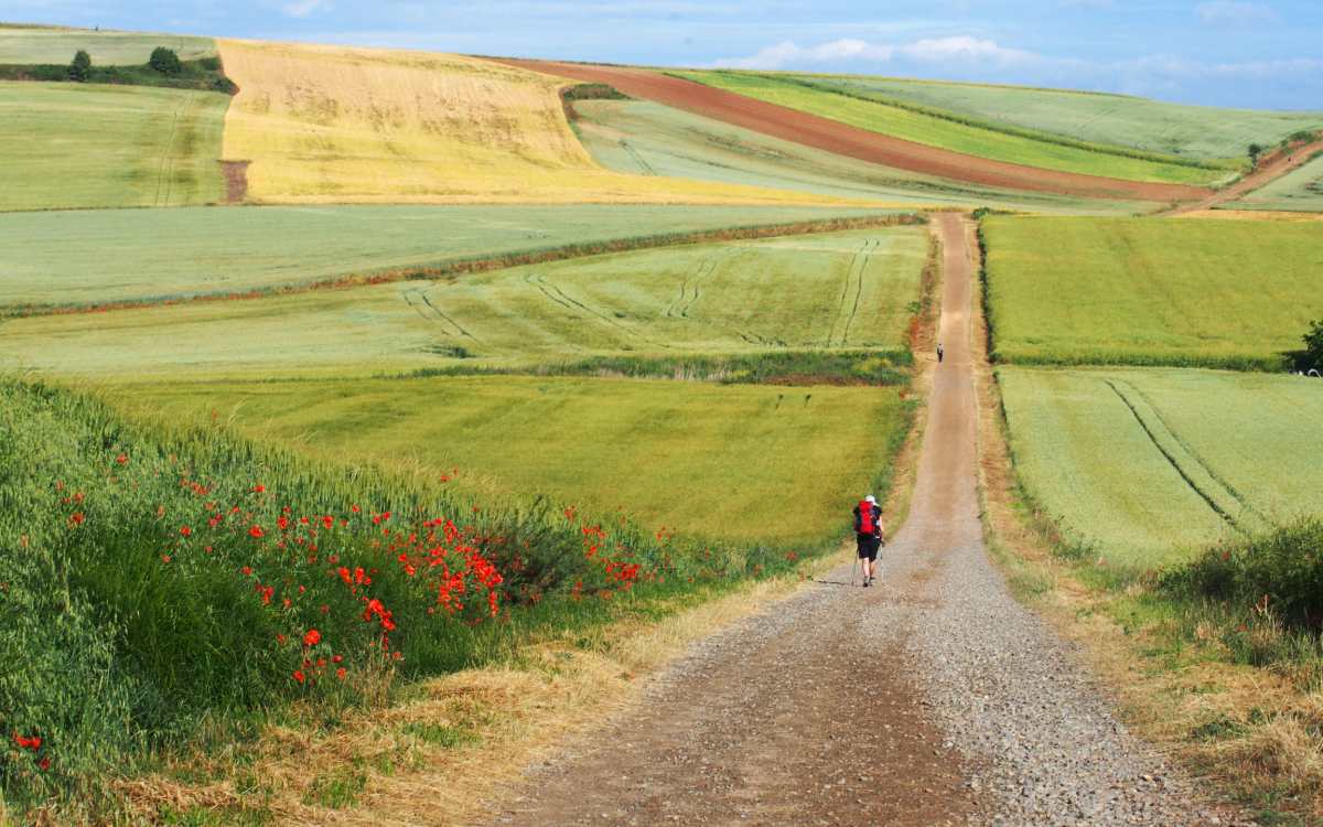 Camino de Santiago Francés