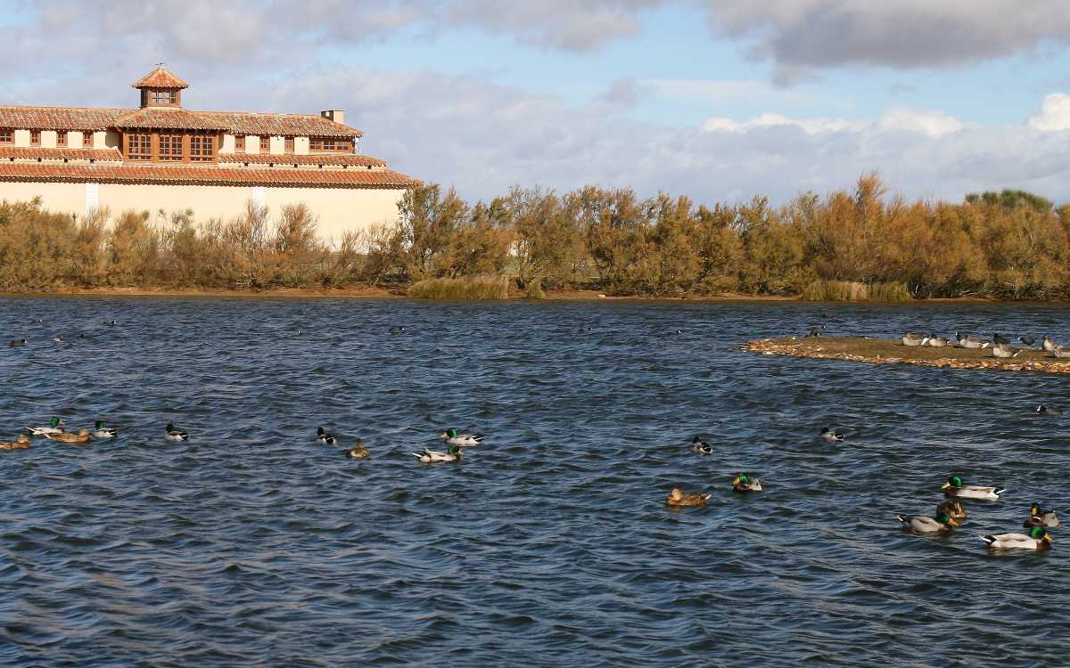 Lagunas de Villafáfila