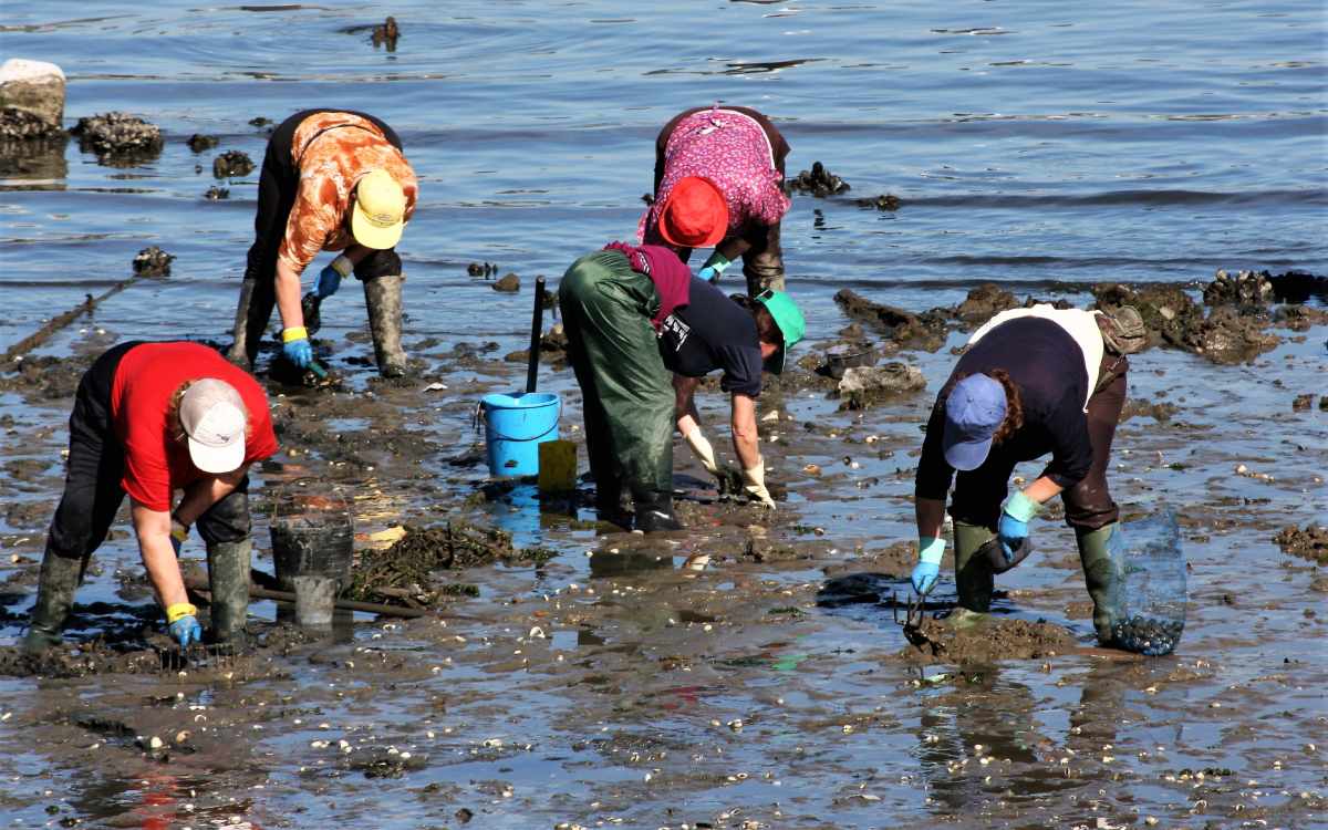 El marisqueo es muy popular en este tipo de turismo