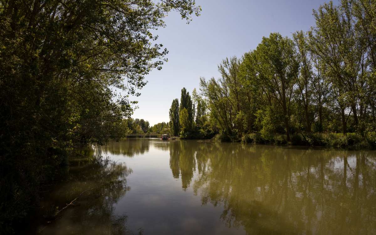 Canal de Castilla