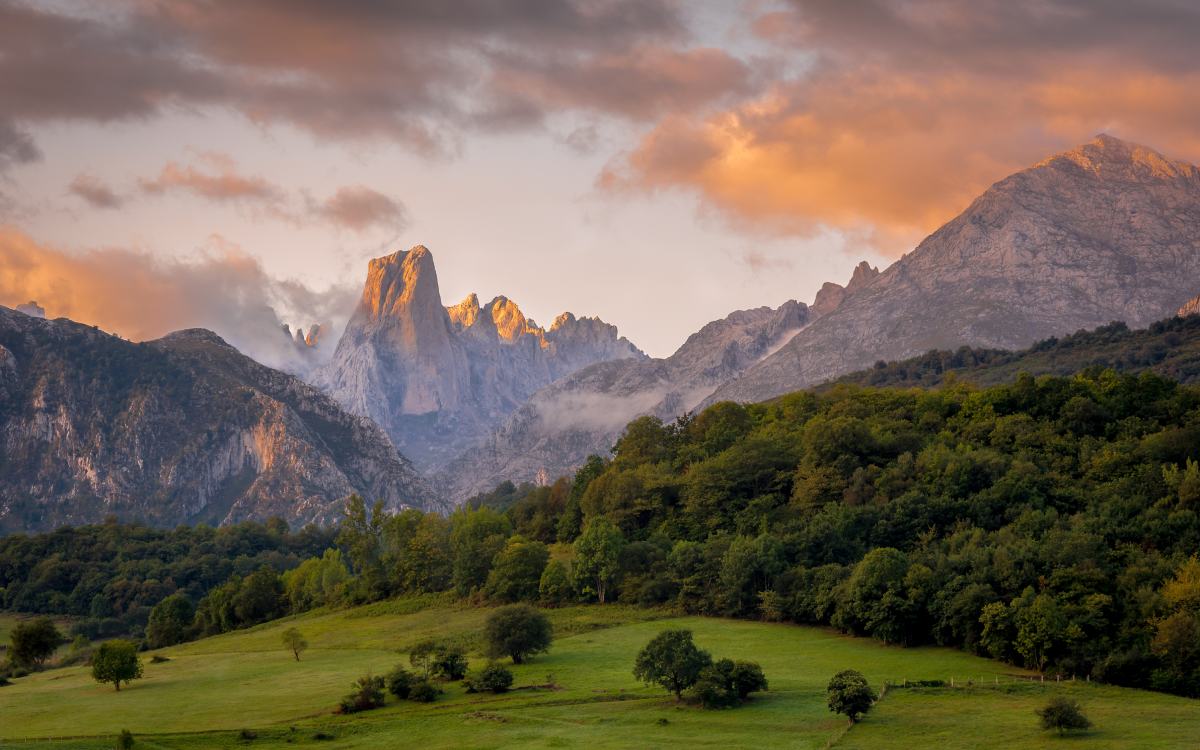 Naranjo de Bulnes