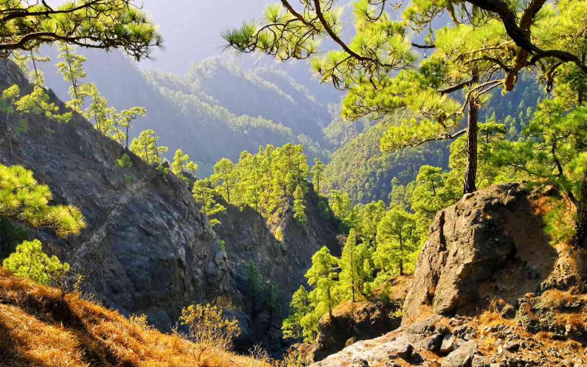 Parque Nacional de la Caldera de Taburiente