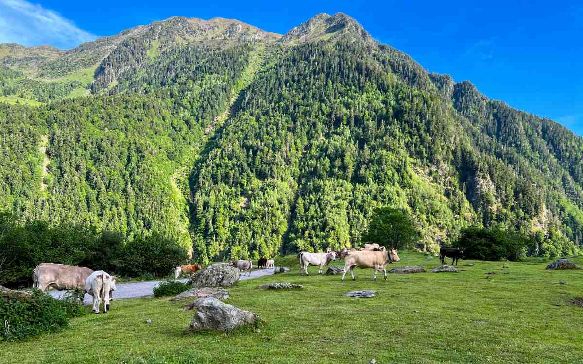 Ruta de senderismo LUDERNA. - Saut deth Pish