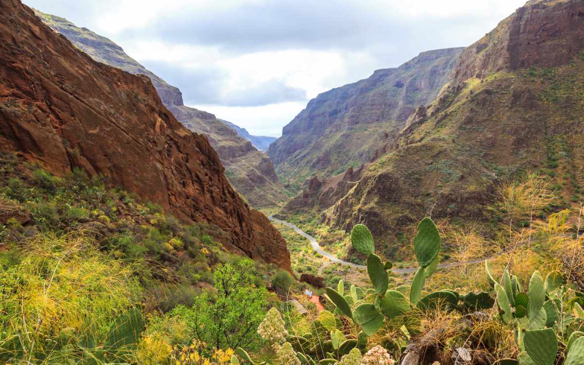 Barranco de Guayadeque