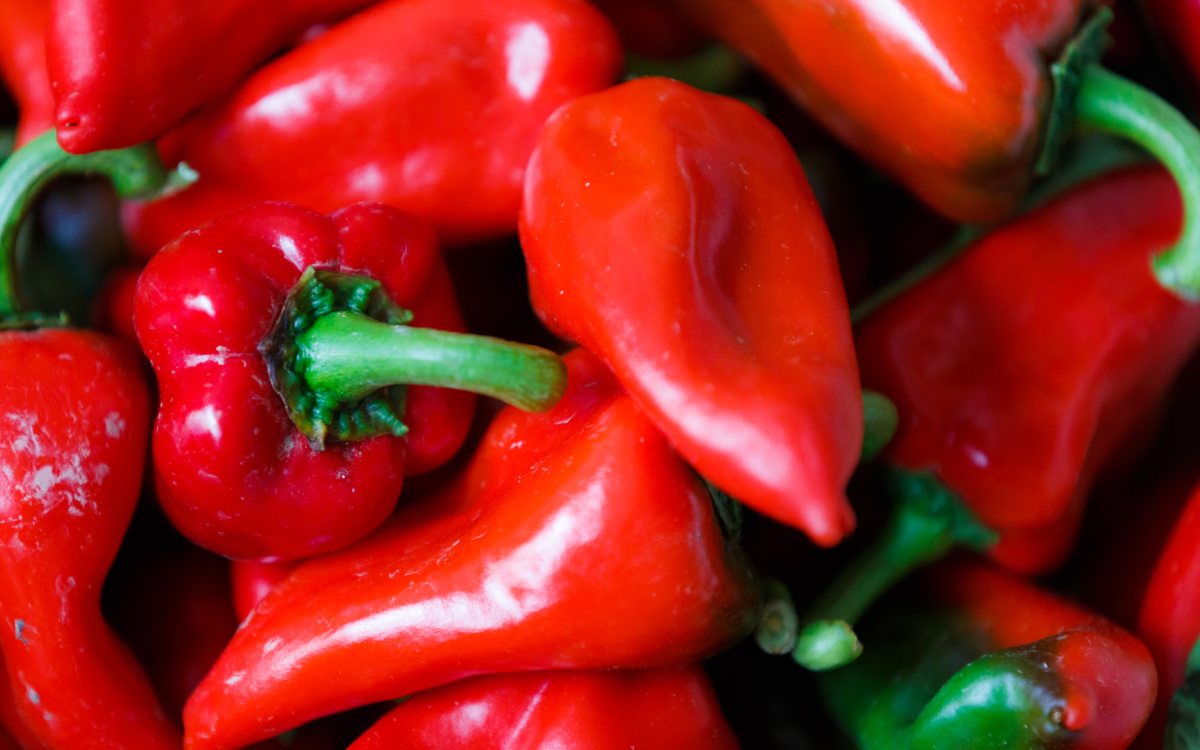 Pimientos del piquillo de Lodosa