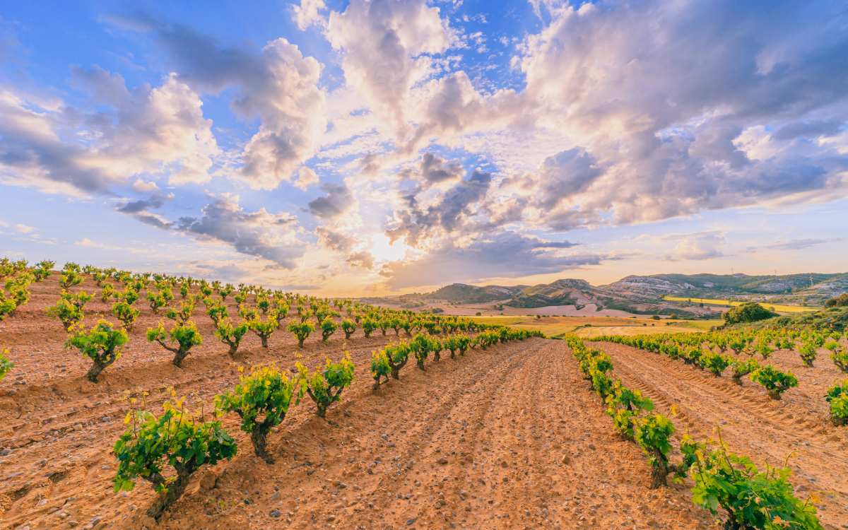 Reserva Natural Riberas de Castronuño