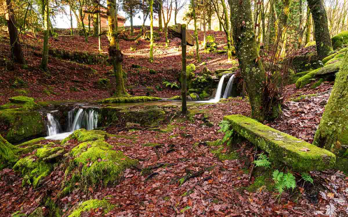 Parque Natural del Monte Aloya