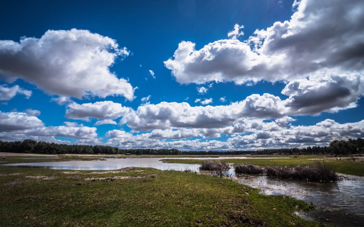 Lagunas de Cantalejo