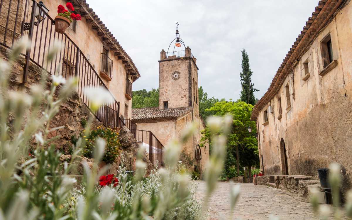 Mura