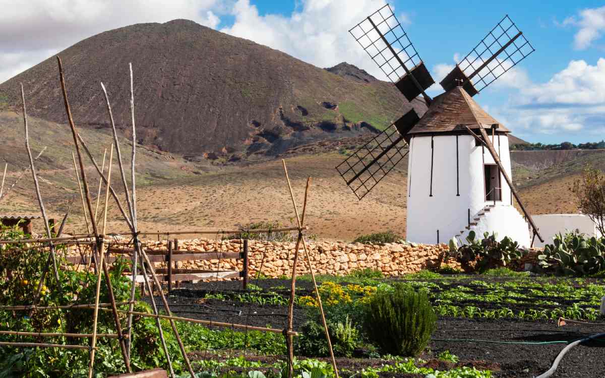 Molino y huertos en en Tiscamanita