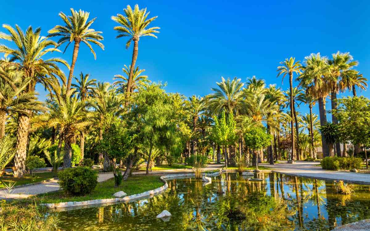 Palmeral de Elche
