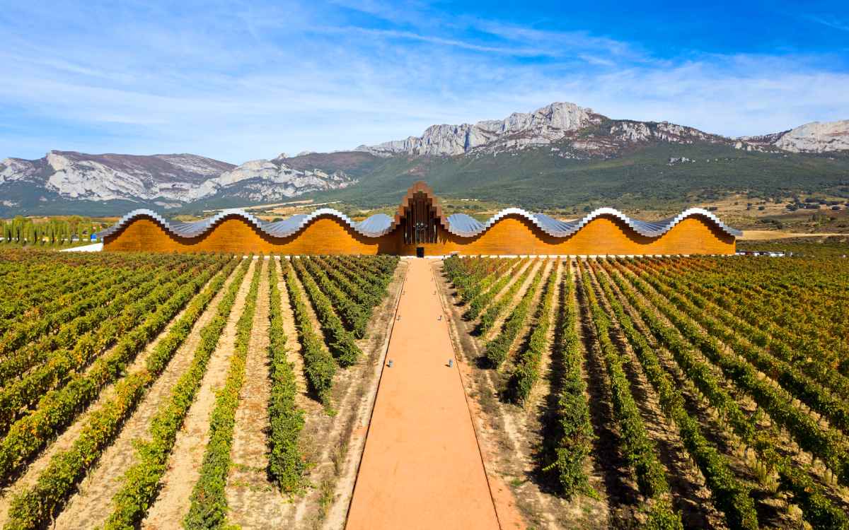 Bodegas Ysios
