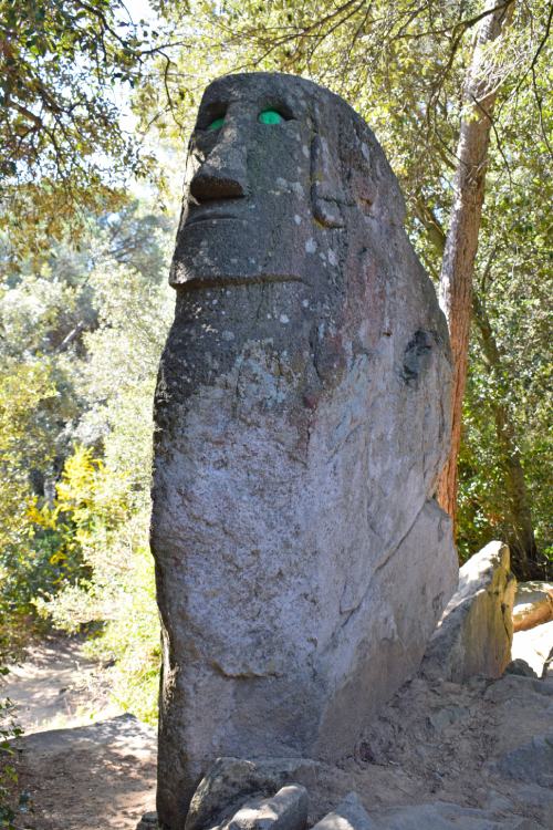 El Bosque de Òrrius