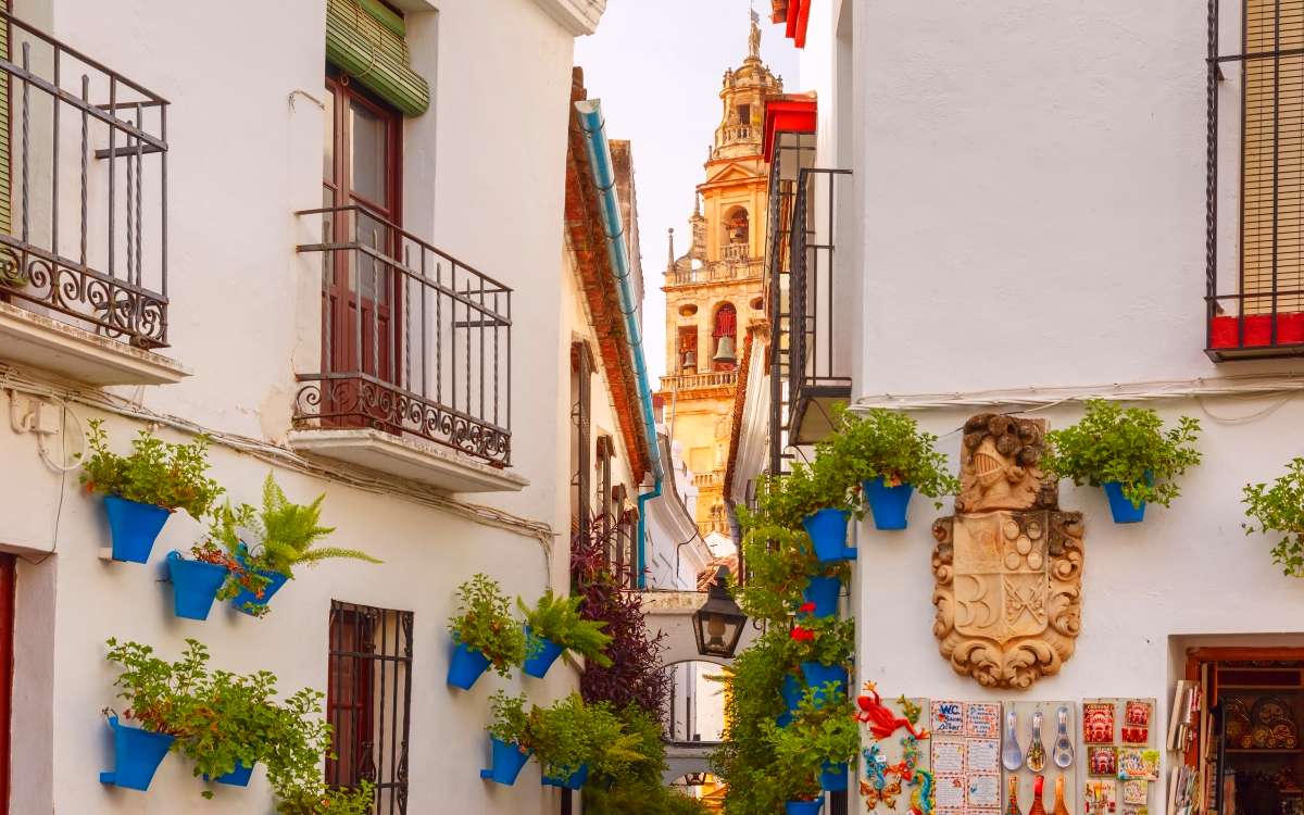 Calleja de las Flores. | Shutterstock