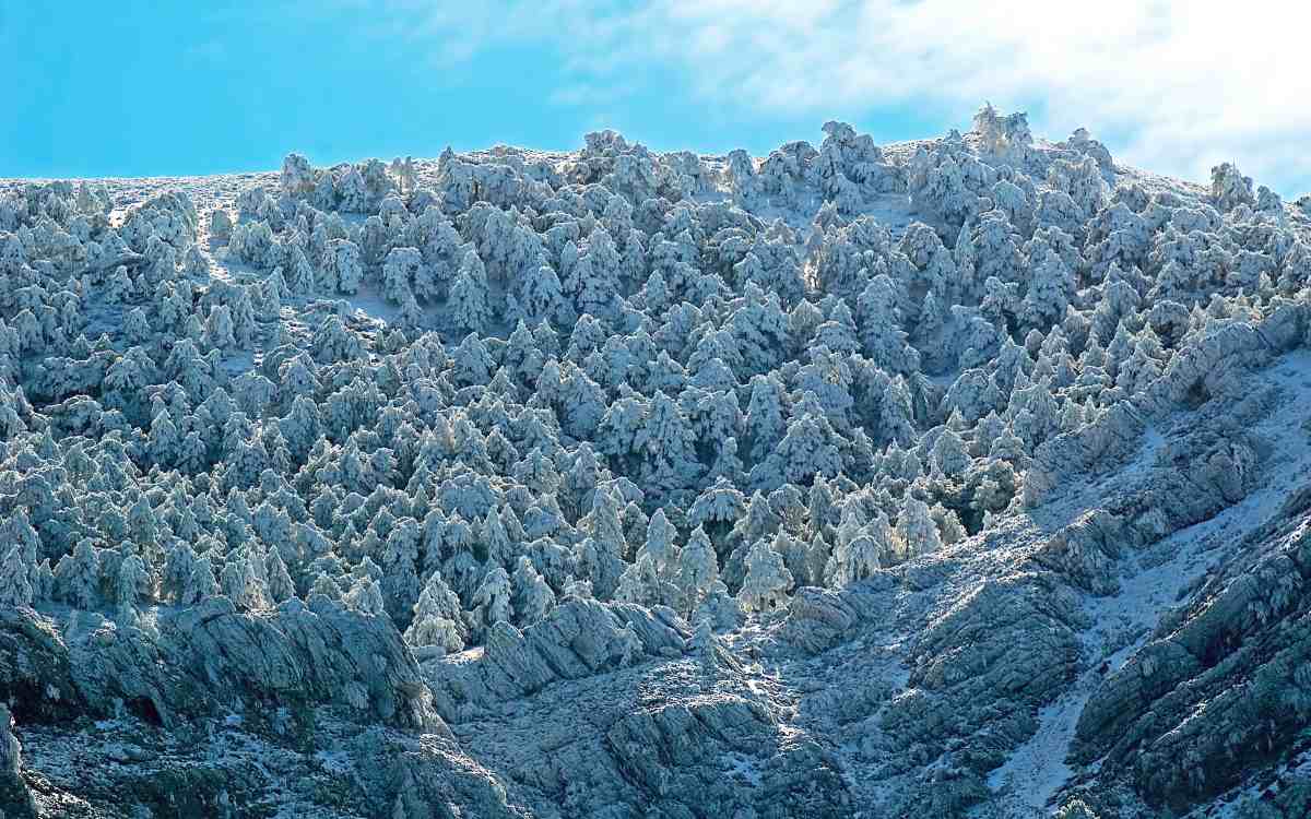 Parque Natural de la Sierra de Cazorla