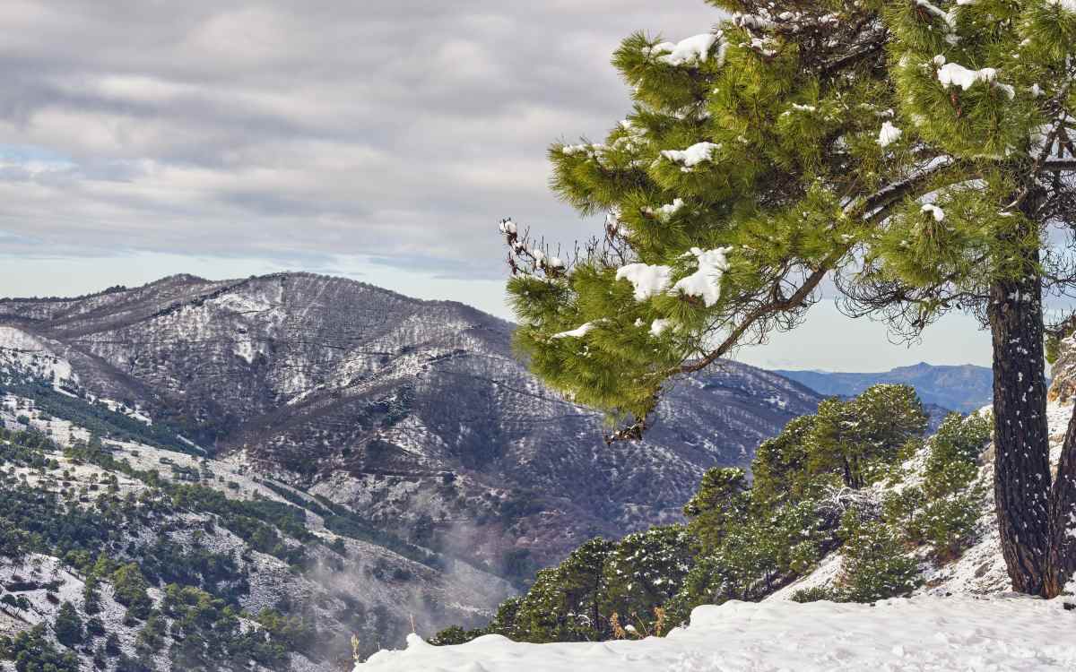 Sierra de las Nieves. | Dreamstime