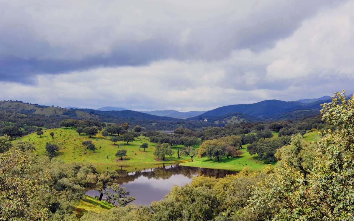 Parque Natural Sierra de Aracena y Picos de Aroche