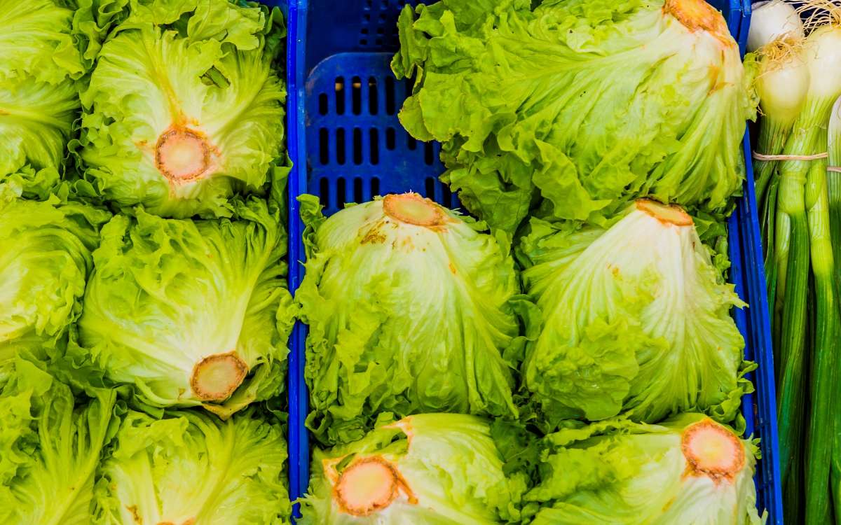 Puesto de verduras frescas en Tudela