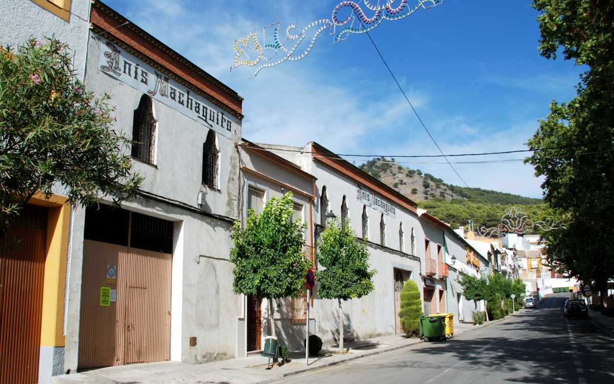 Rute en Navidad