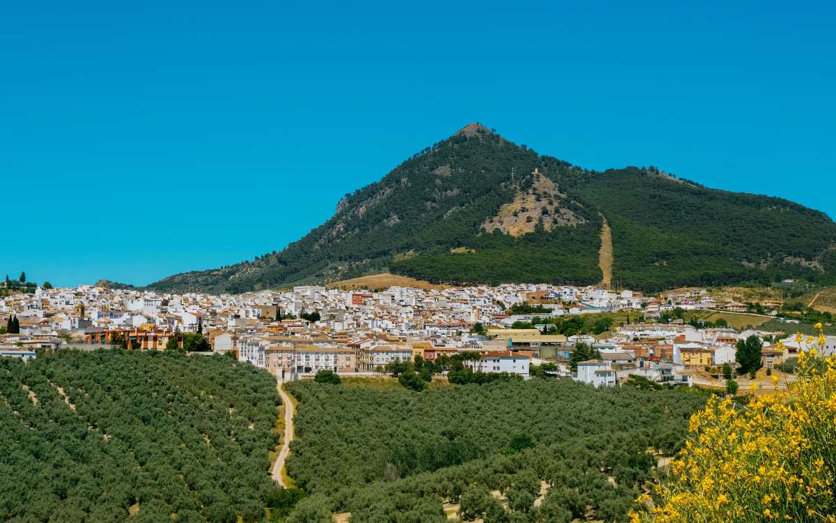 Panorámica de Rute