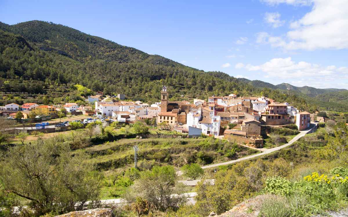 Torralba del Pinar
