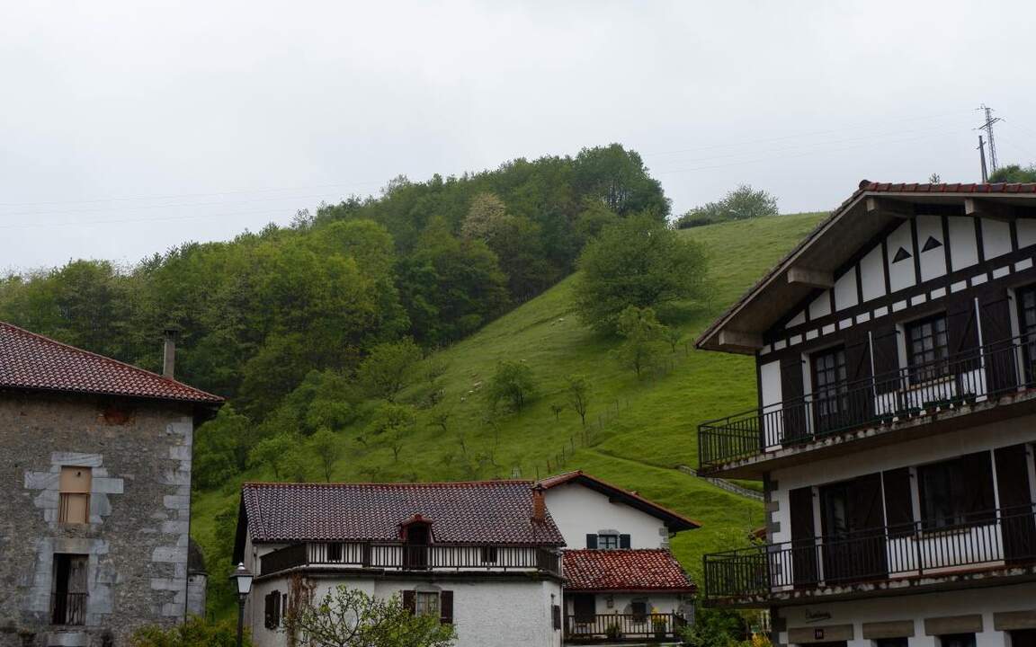 Lesaka
