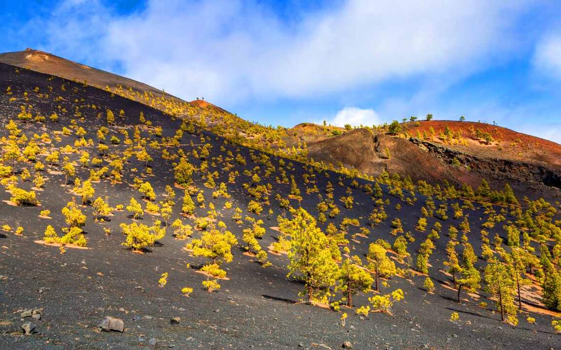 La Palma. | Dreamstime