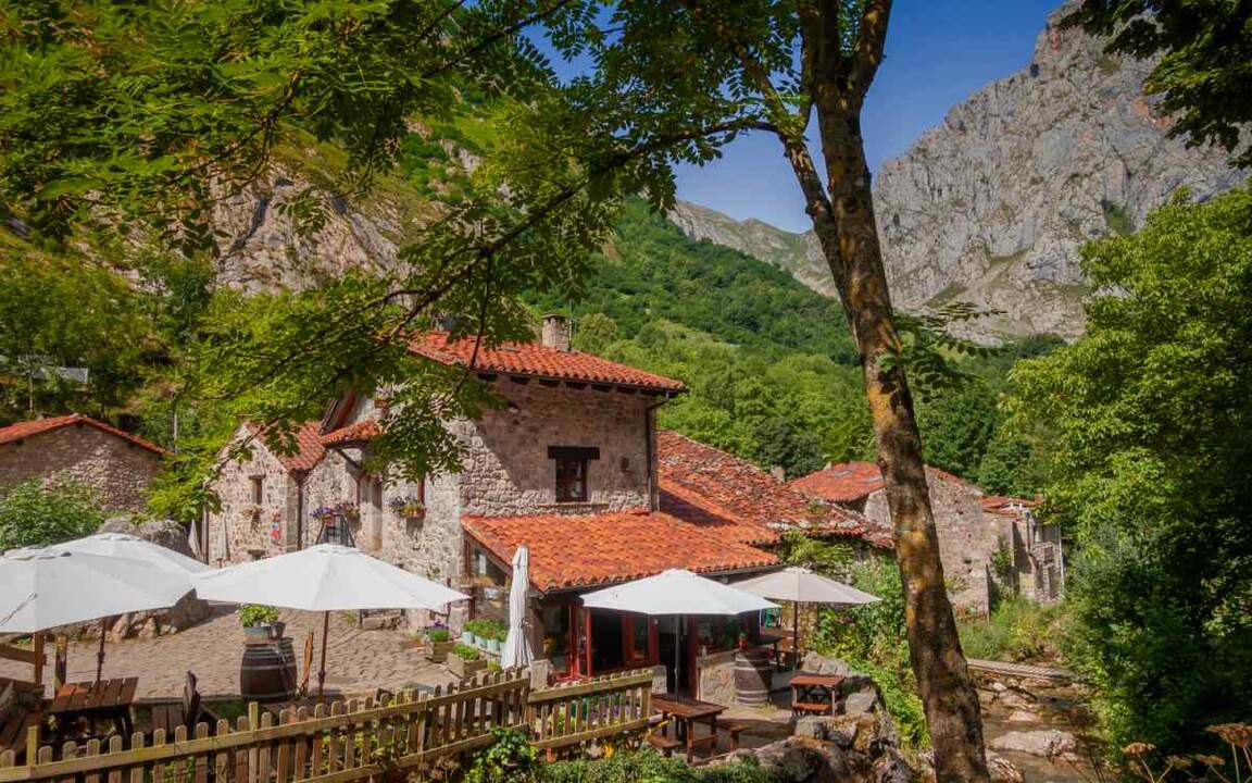 Bulnes