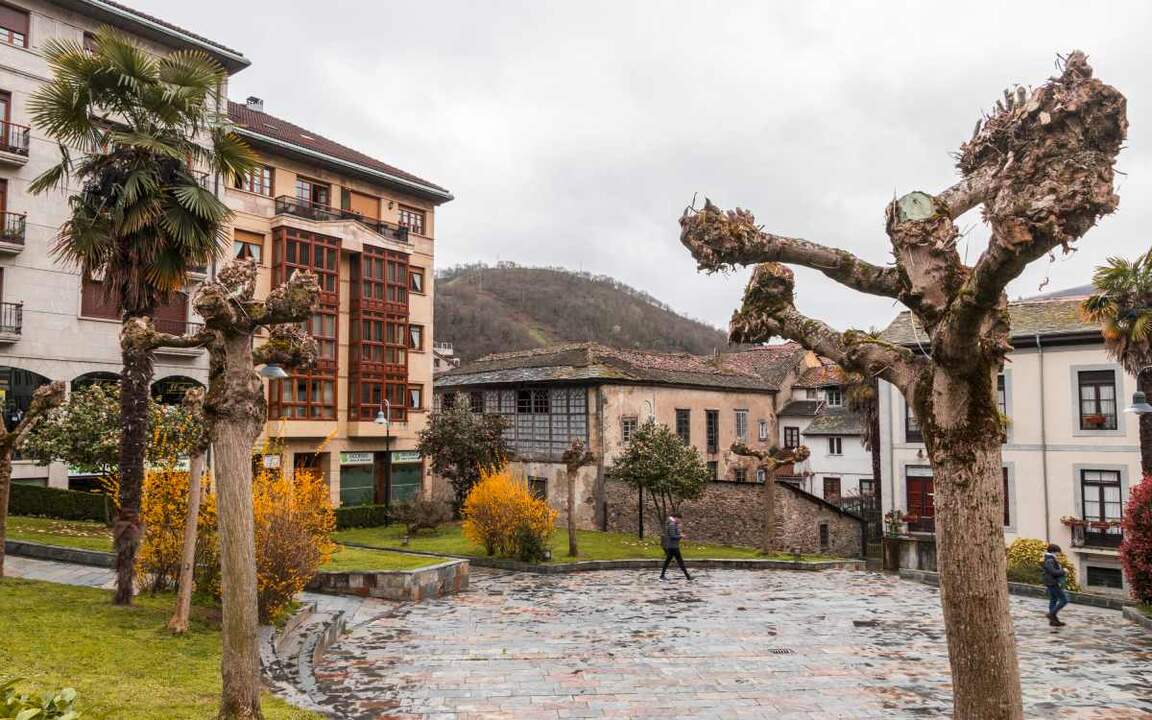 Cangas del Narcea