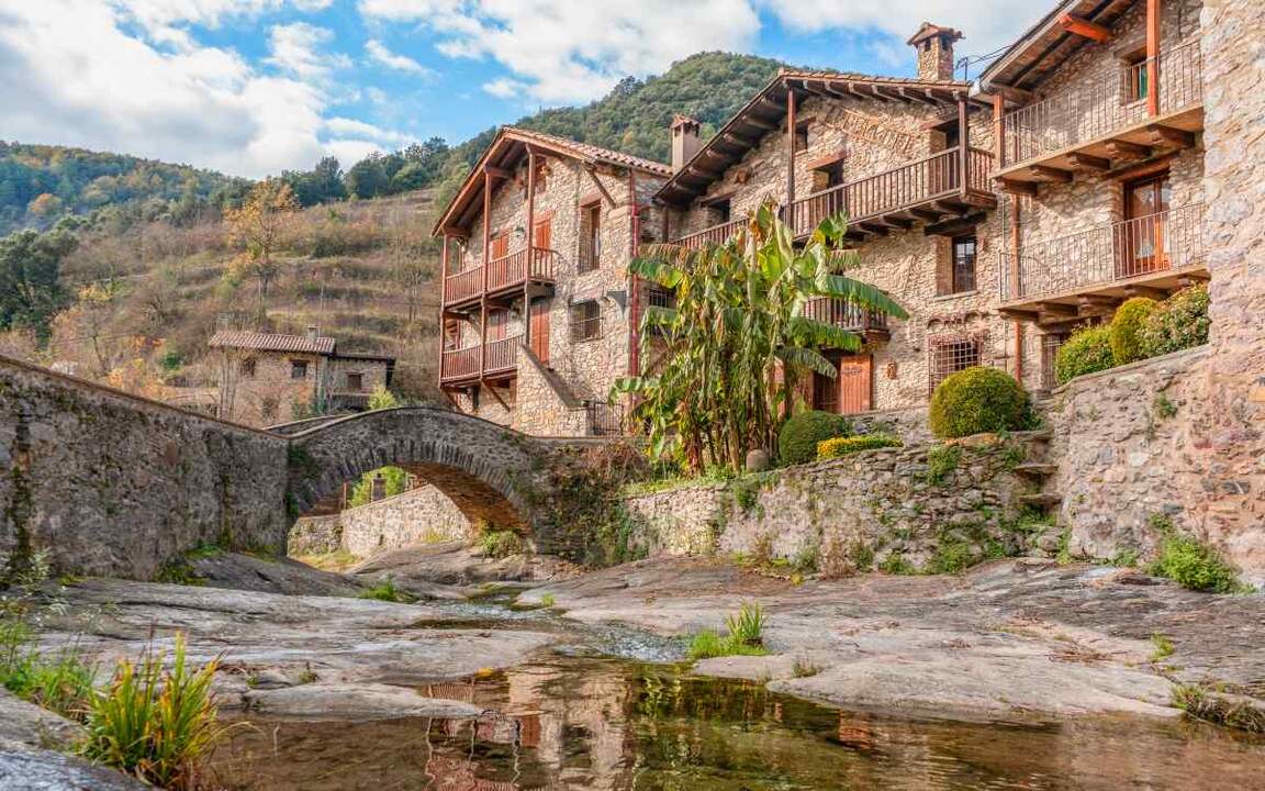 Beget