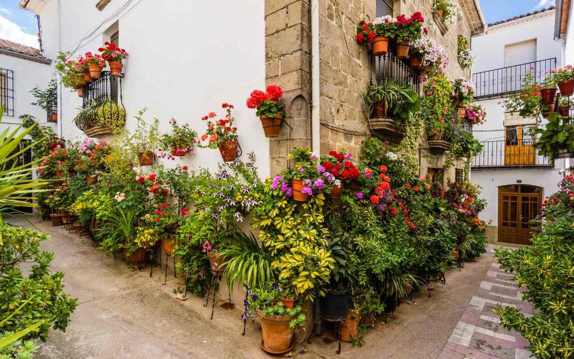 Calle con flores en Iznatoraf