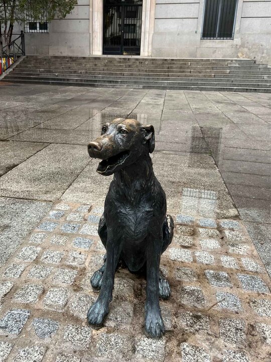 El 'Hachiko español'