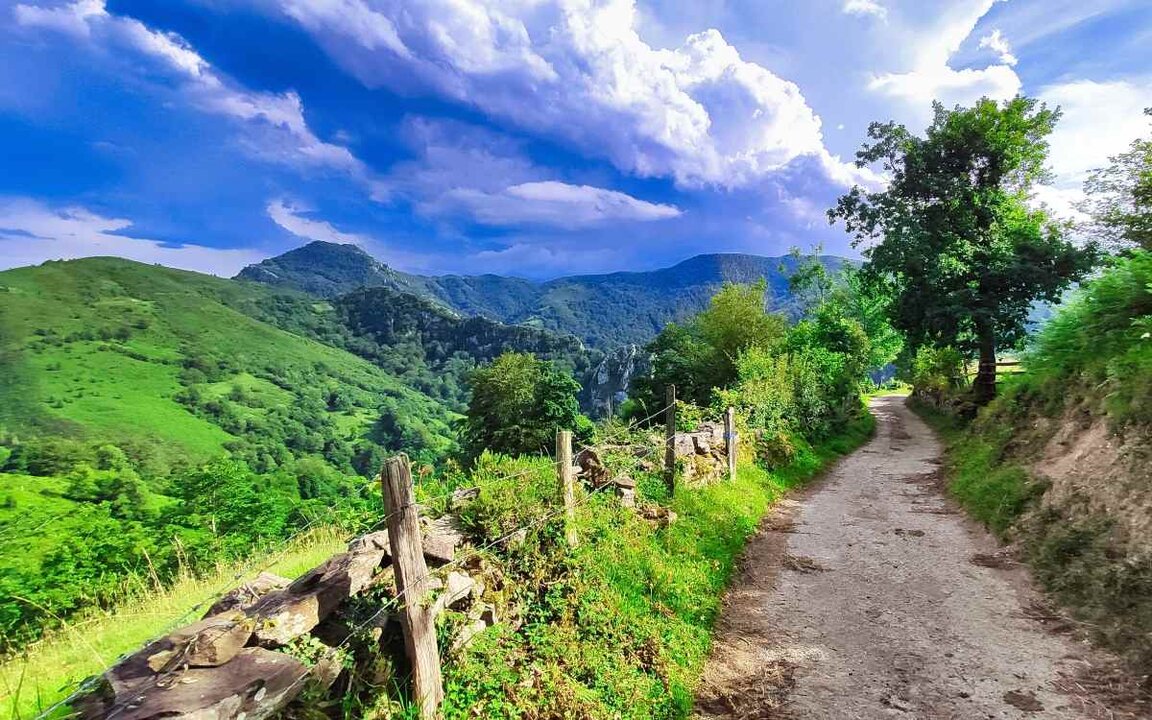 Parque Natural de Redes