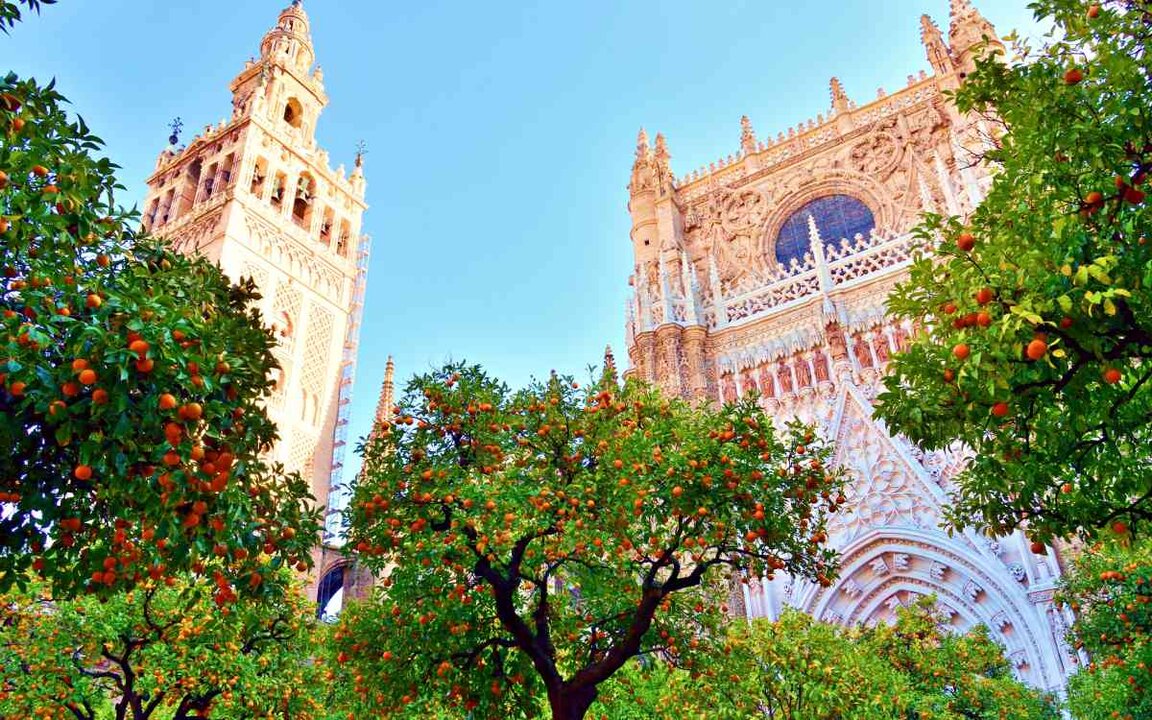 La Giralda y la catedral desde el Patio de los Naranjos