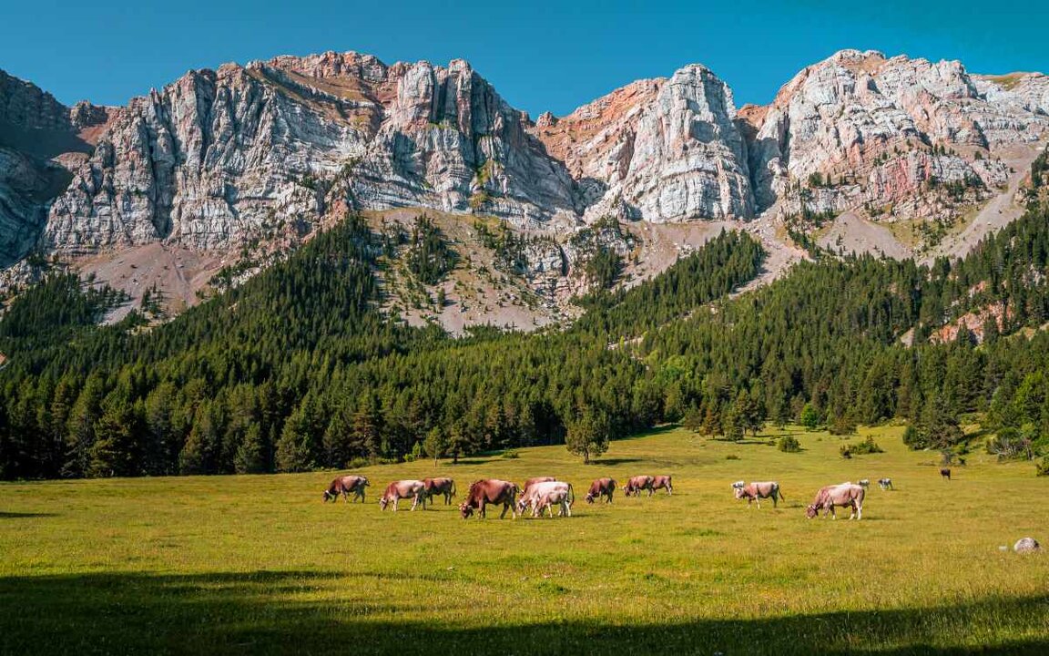 Prat de Cadí, en La Cerdaña. | Shutterstock