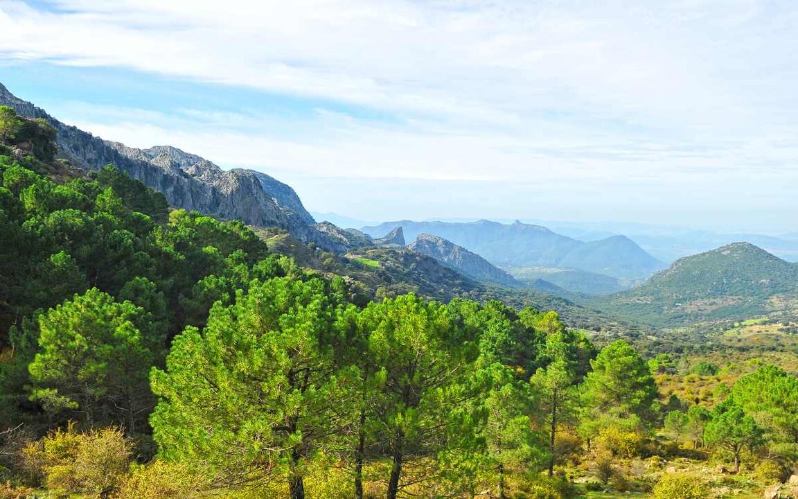 Parque Natural de la Sierra de Grazalema