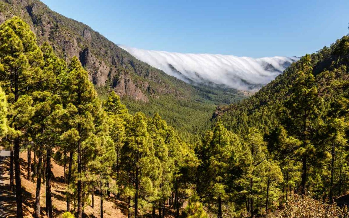 Parque Nacional de la Caldera de Taburiente