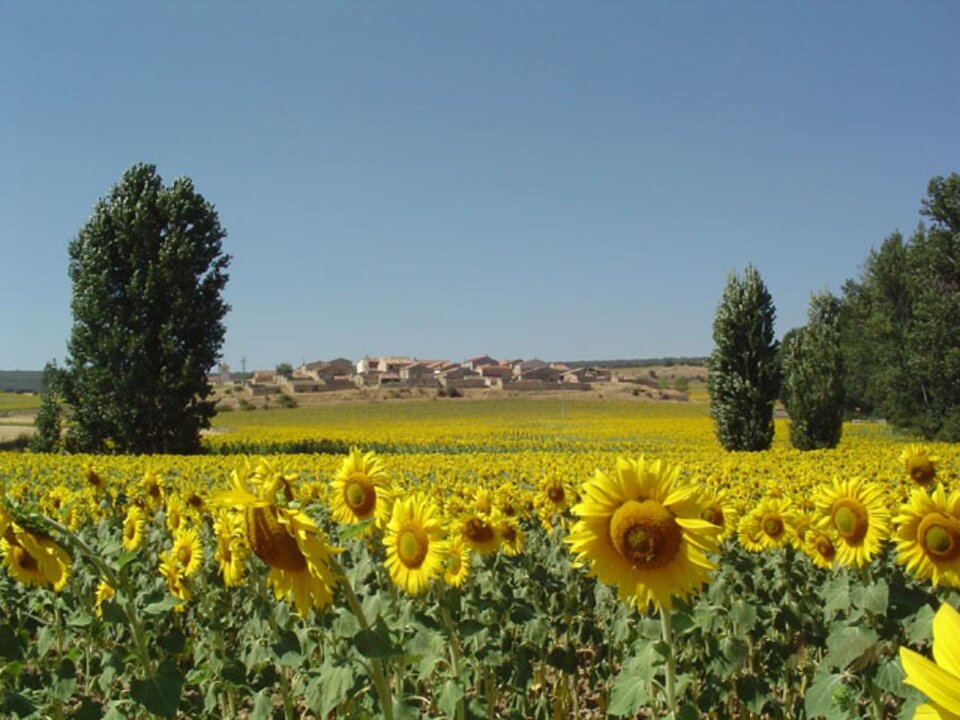 Torremochuela_02 (2)