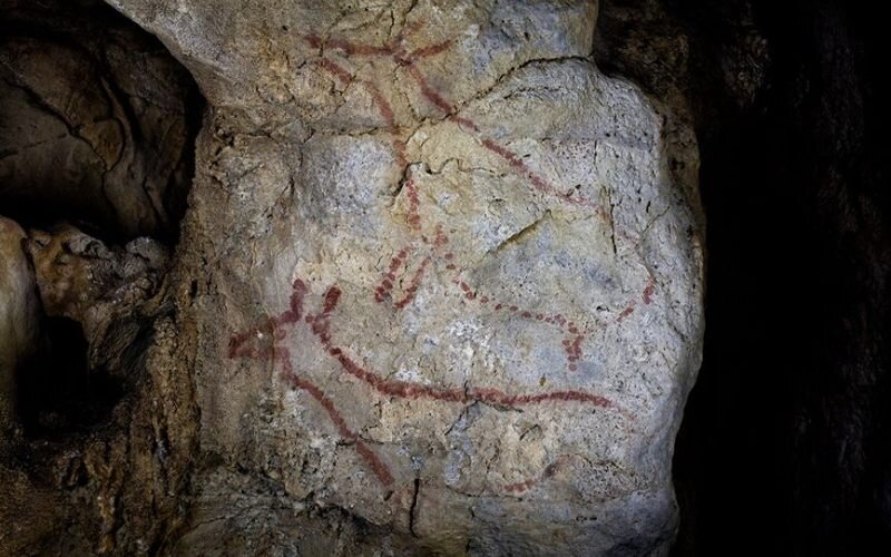 Ciervas en la cueva de Covalanas