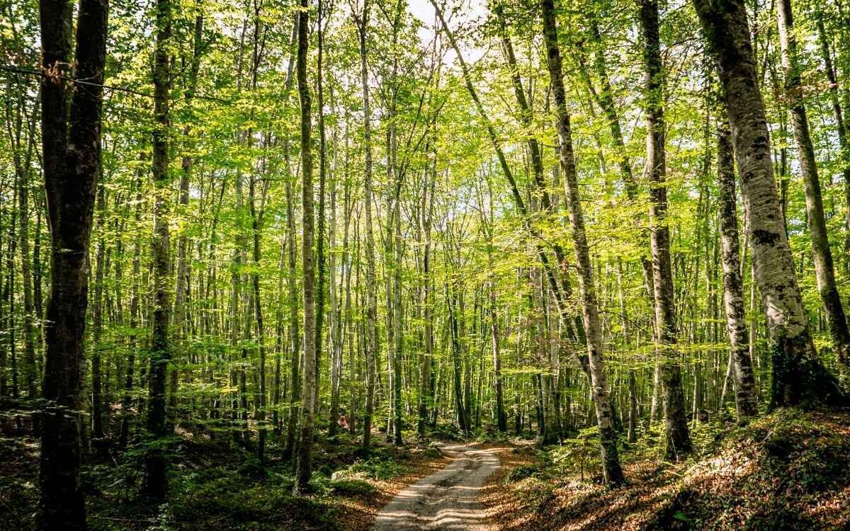 Foto interior (1200 x 750 px) - 2025-04-23T132039.299