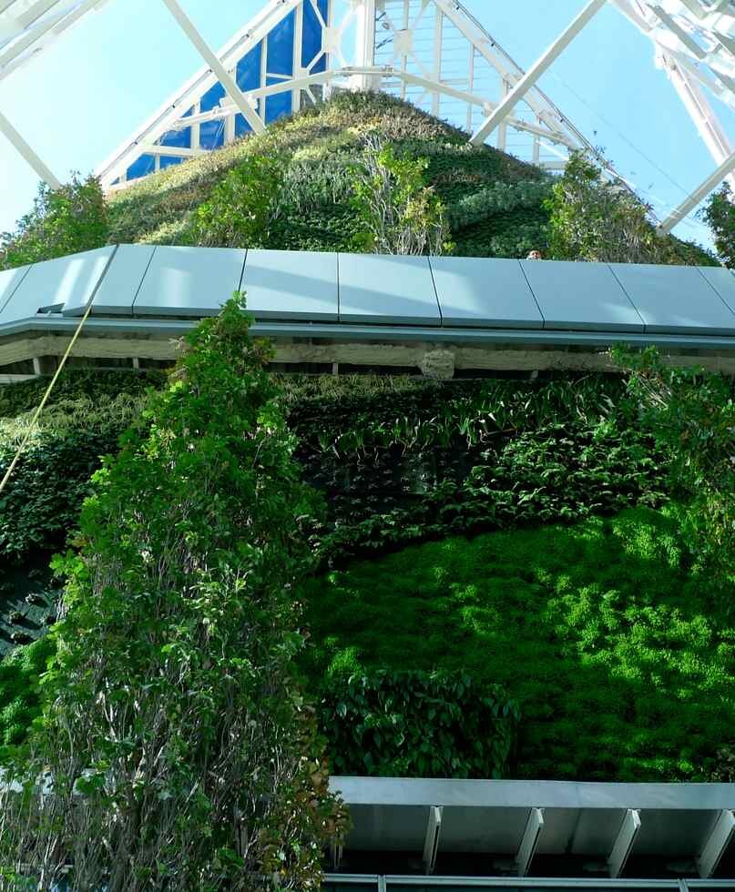 El jardín vertical más alto de Europa