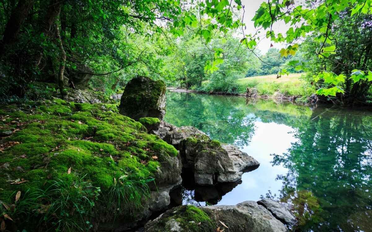 Foto interior (1200 x 750 px) - 2025-04-30T180251.889