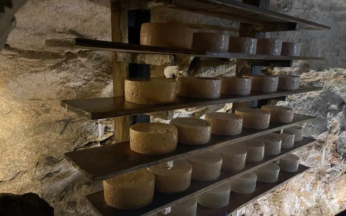 Fabricación de quesos en Arenas de Cabrales
