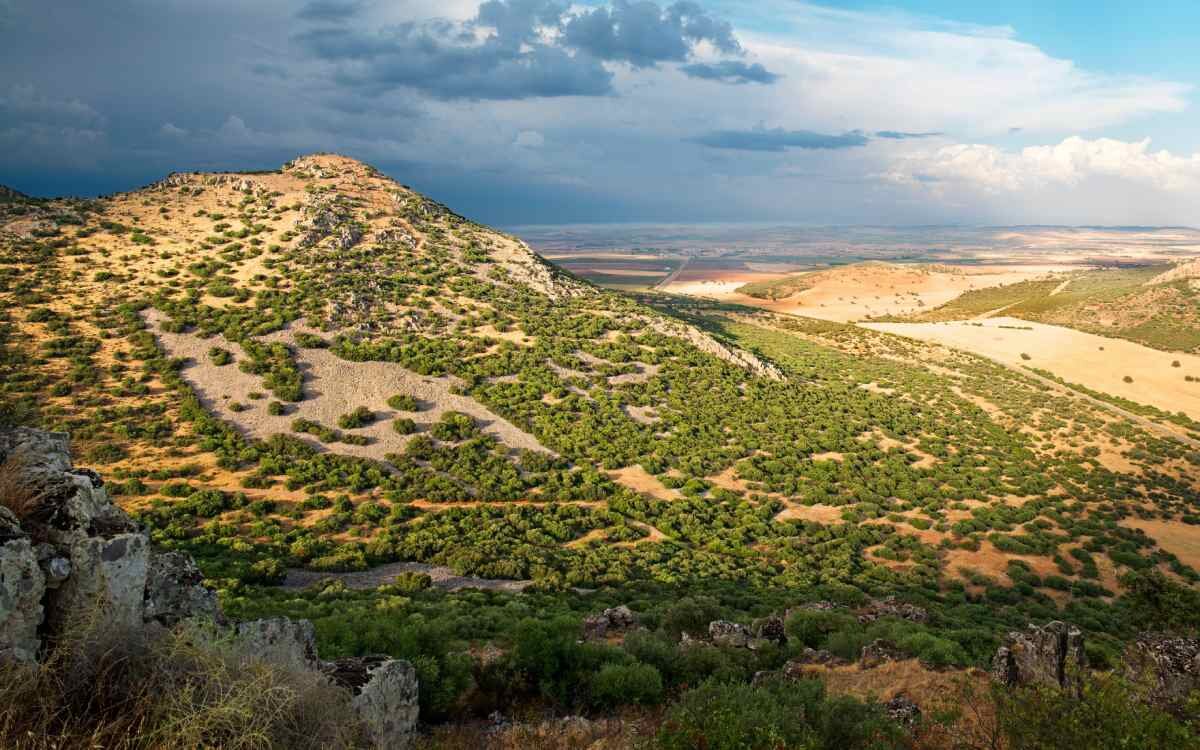 Los alrededores de Aldea del Rey, parte de cuyo municipio pertenece al Macizo Volcánico de Calatrava
