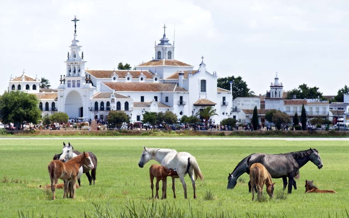 Caballos en el Rocío