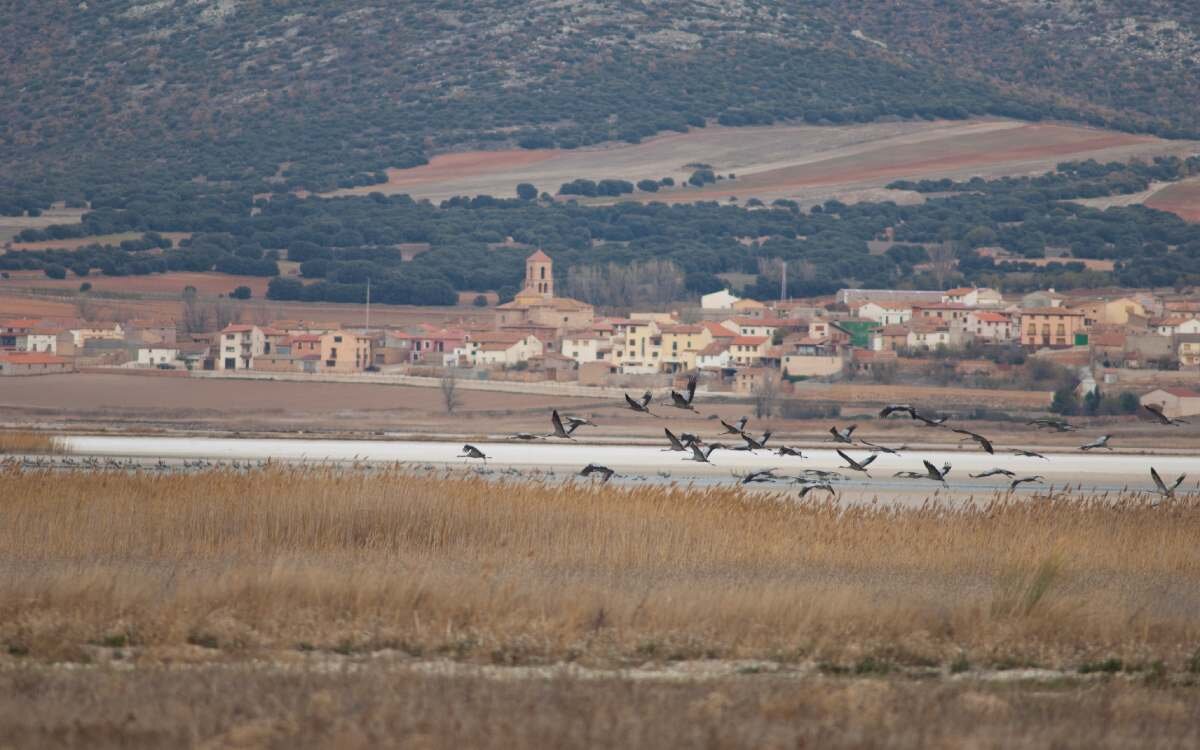 Gallocanta y su paisaje