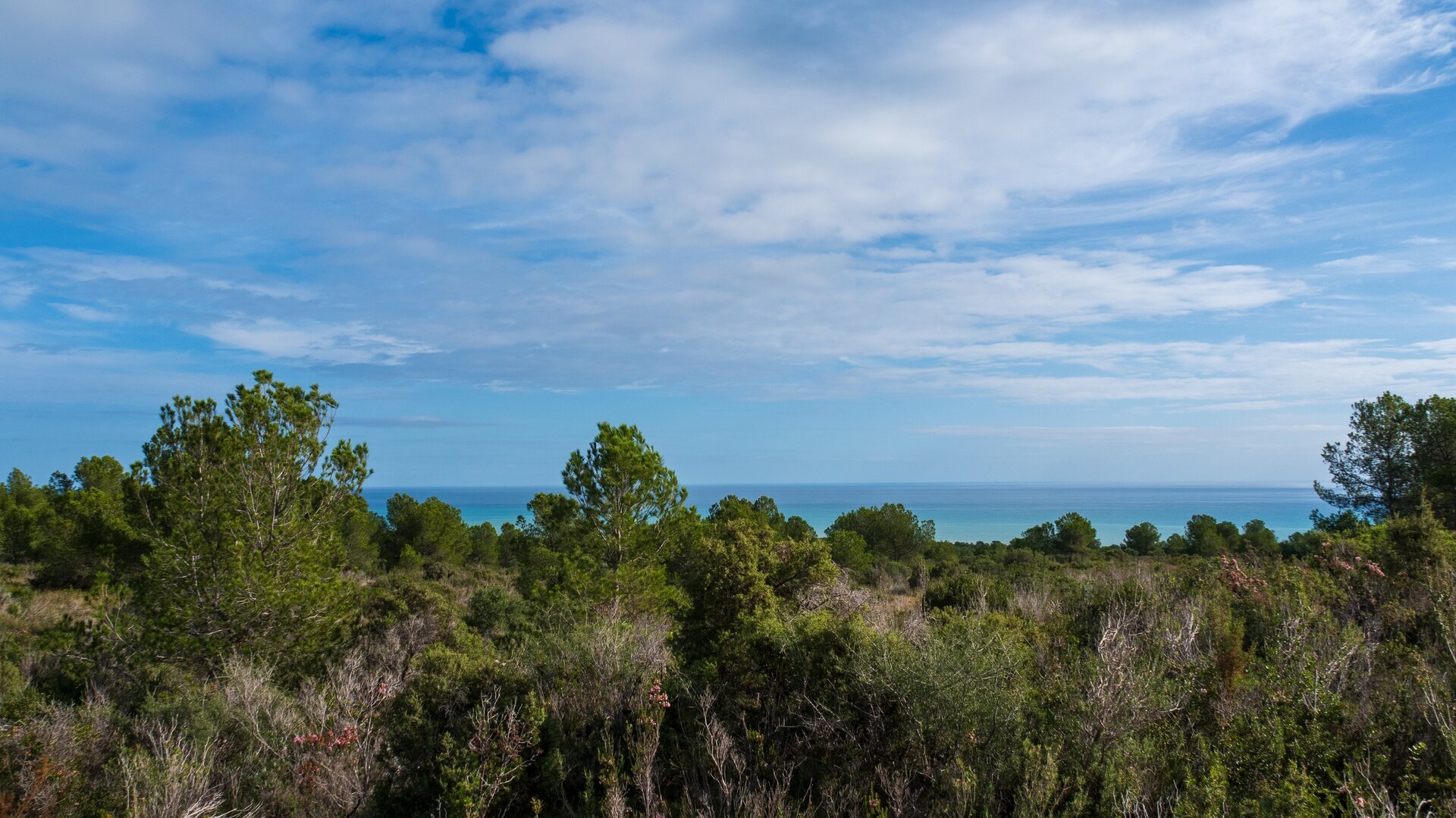 Sierra de Irta